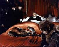 Кадр Мальпертюи