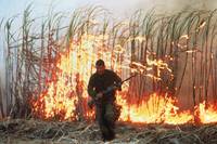 Кадр Снайпер