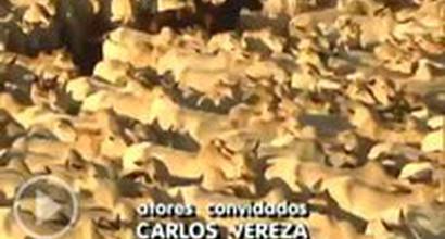 Вступительные титры