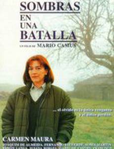 Тени одного сражения