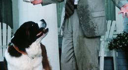 Кадр из фильма "Бетховен 2" - 2