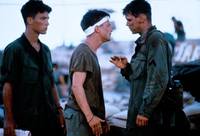 Кадр Военные потери