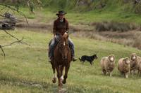 Кадр Дочери Маклеода