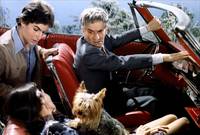 Кадр На древо взгромоздясь