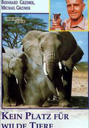 Не место для диких животных