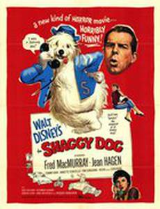 Лохматый пес