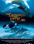 Постер из фильма "Дельфины и киты 3D" - 1