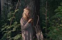 Кадр И на камнях растут деревья