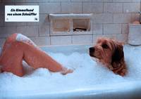 Кадр О, божественный пес!