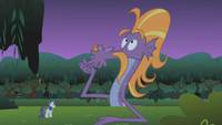 Кадр Мой маленький пони: Дружба – это чудо
