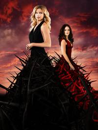 Постер Месть