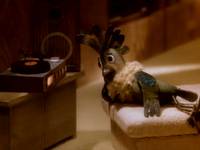 Кадр Боцман и попугай