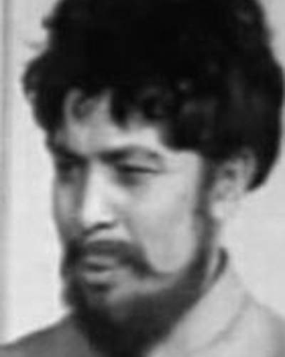 Николай Волшанинов фото