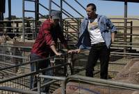 Кадр Дочери Маклеода