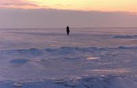 Кадр Тридцать две истории о Гленне Гульде