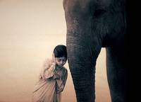 Кадр Пепел и снег