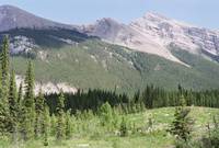 Кадр Горбатая гора