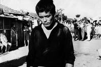 Кадр Аккаттоне