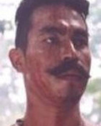 Яран Нгамди фото