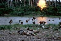 Кадр Без вести пропавшие