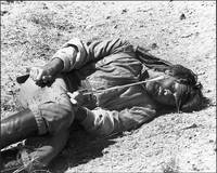 Кадр Крыло Орла