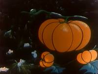 Кадр Золушка