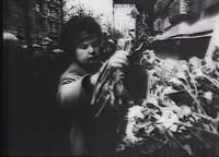 Кадр Элегия