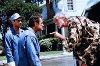 Кадр Предместье