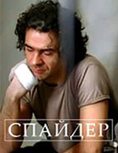 Спайдер