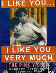 Ты мне нравишься, я тебя очень люблю