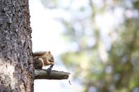 Кадр Убойный уикенд