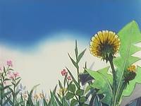 Кадр Пчелка Майя