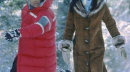 Кадр из фильма "Снежные псы" - 2