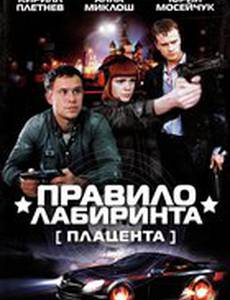 Правило лабиринта: Плацента