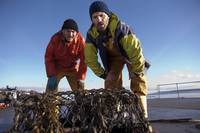 Кадр Грэбберы