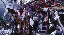 Кадр из фильма "Прощай, ковчег" - 1