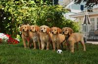 Кадр Принцы воздуха (видео)