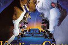 Кошки против собак