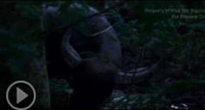 Фрагмент №3