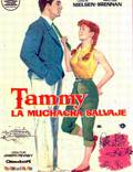 Постер из фильма "Тэмми и Холостяк" - 1