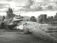 Кадр Миллион лет до нашей эры