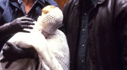 Кадр из фильма "Честь семьи Прицци" - 2