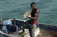 Кадр Добро пожаловать в рай!