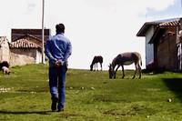 Кадр Alias Alejandro