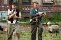 Кадр Мужчины и куры