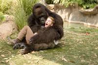 Кадр Старые псы