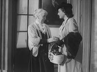 Кадр Голубая лиса