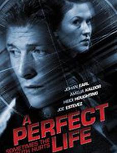 Идеальная жизнь