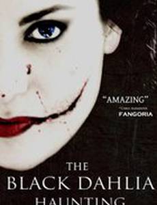 Чёрный георгин