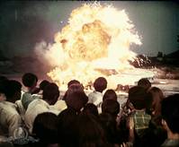 Кадр The Young Animals